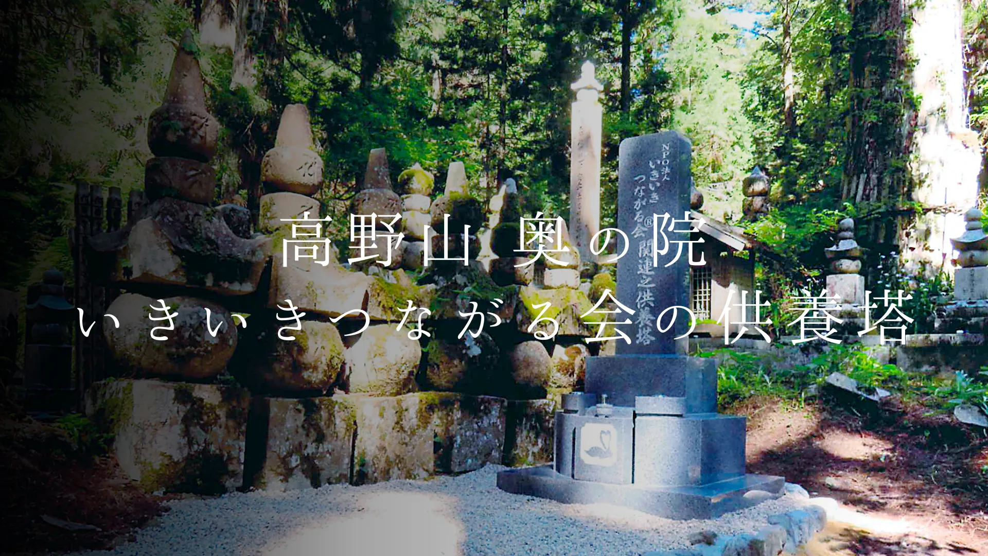 「高野山 奥の院」いきいきつながる会の慰霊碑と永代供養のかたち