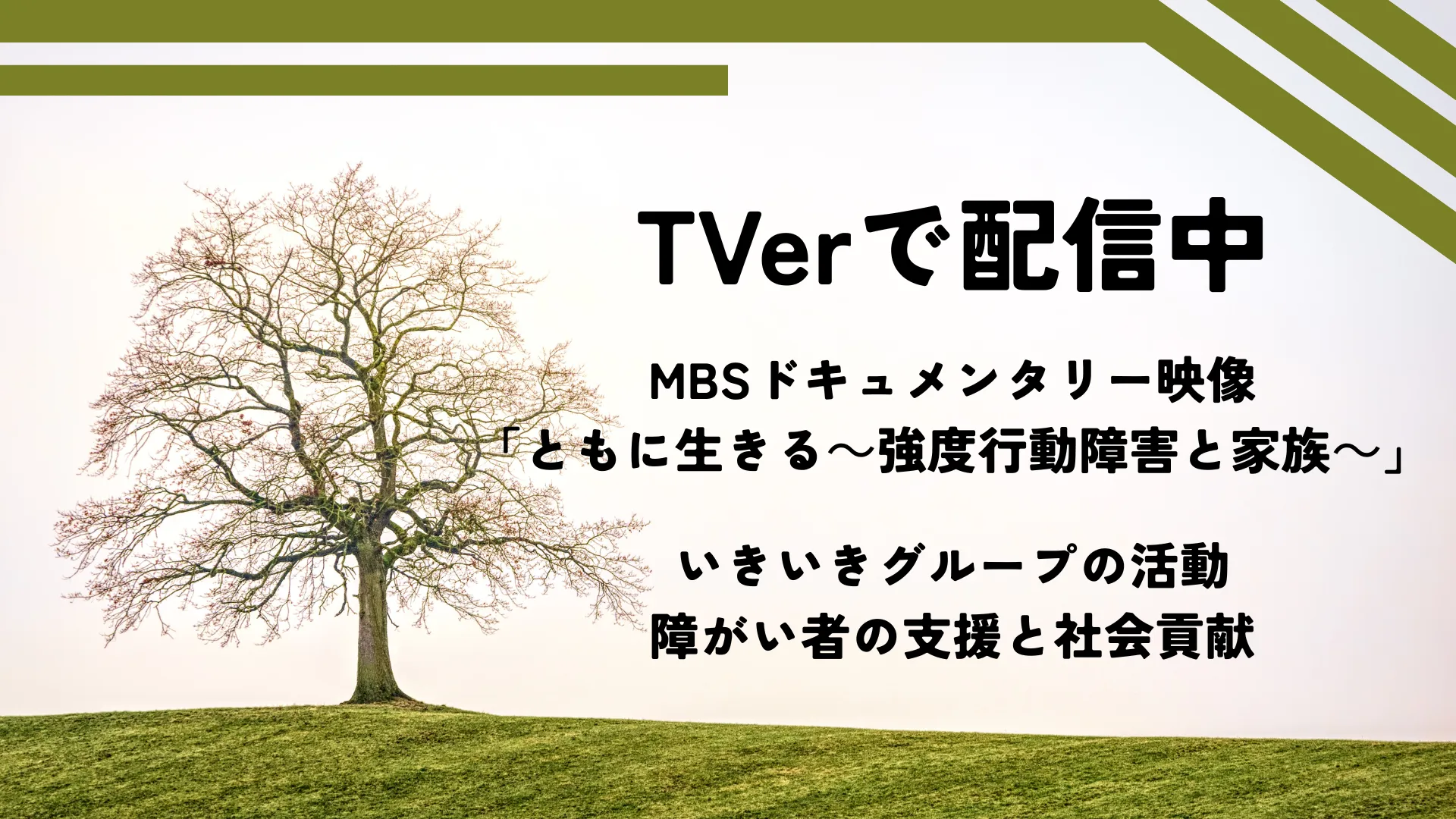 MBSドキュメンタリー映像’25「ともに生きる～強度行動障害と家族～」放送アーカイブ｜涼太さんとご家族の28年