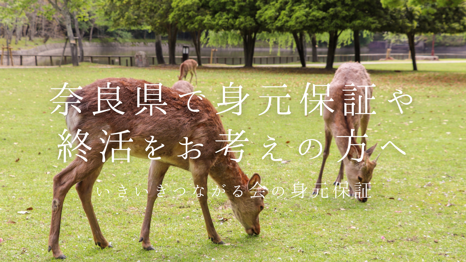 奈良県で終活・身元保証をお考えの方へ 〜終活への不安と地域特有の課題〜